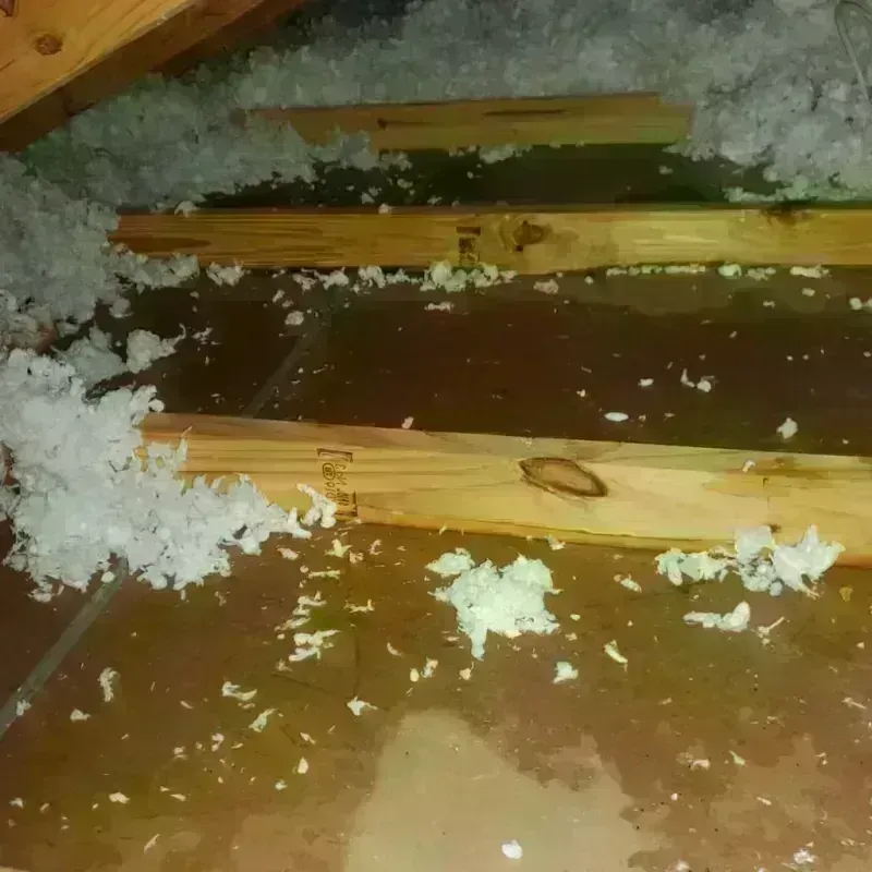 Attic Water Damage in Chetopa, KS