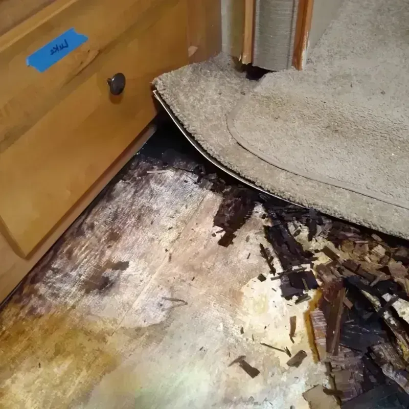 Wood Floor Water Damage in Chetopa, KS